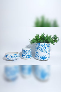 Azure Bloom Ceramic Planter Trio
